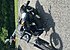 2015 Harley-Davidson Other Harley-Davidson Models for sale 200934714